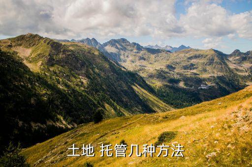 农业生产托管怎么推进工作,湖北省春季农业生产工作推进会