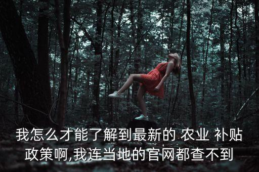 内蒙古农业补贴怎么查,怎么查自己的农业补贴