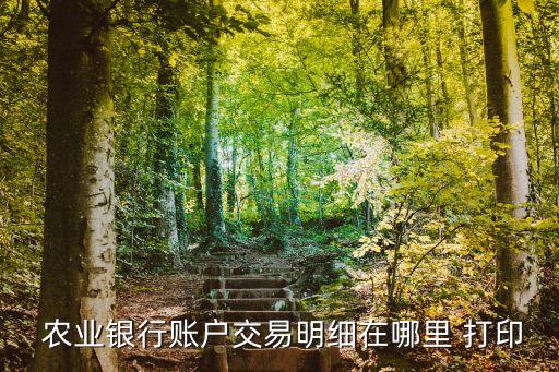 农业账本打印怎么打印,打印账本可以打印双面吗