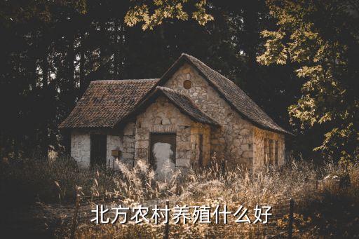 北方农业做什么生意好,适合在农村做的小生意