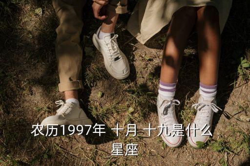 农业十月十九是什么星座,1999年农历十月十九是什么星座
