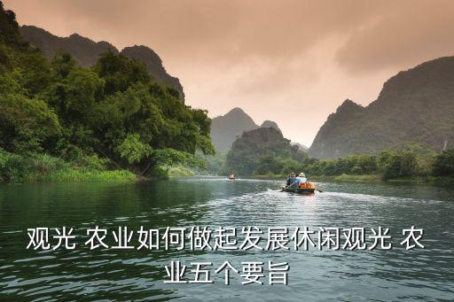 农业旅游模式怎么打造,旅游加农业可以开展哪些旅游模式
