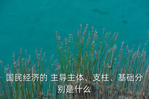 我国农业的主导是什么意思