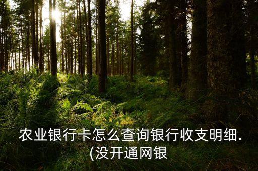 农业企业掌银怎么查账