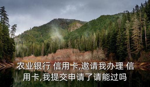 农业银行信用怎么填表,办农业银行填表教程