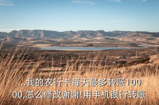 农业银行转帐限额怎么办