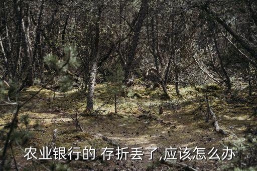 农业银行存折为什么没有了,我农业银行为什么有存折