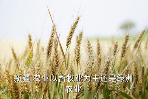 新疆的农业是什么样的,新疆oasis农业是一个生态农业