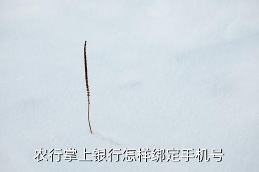 农业银行怎么找关联管理,兴业银行与农业银行有关联吗
