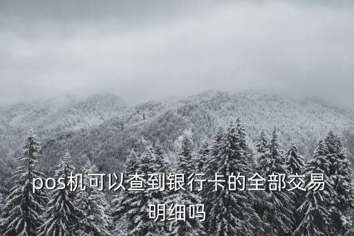 农业银行pos机怎么查流水
