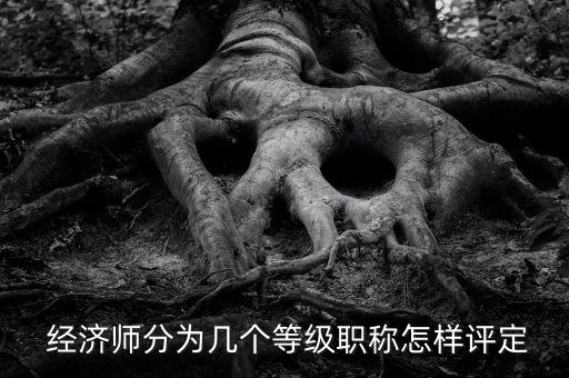 农业类经济师怎么评,考了经济师评职称可以评农业类吗