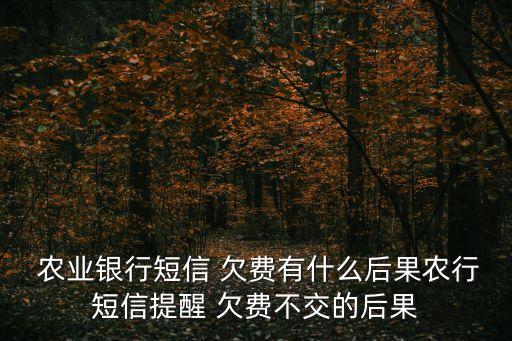 农业银行绿色卡欠费怎么办