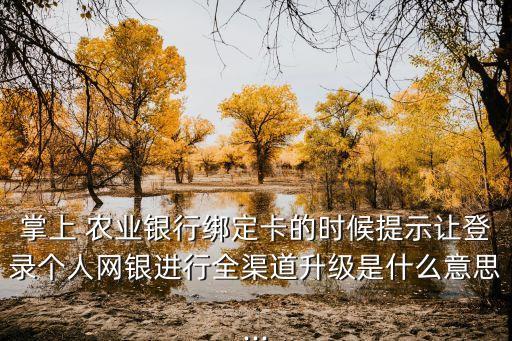 农业银行接入点是什么