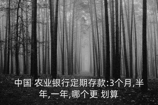 农业银行怎么存最划算