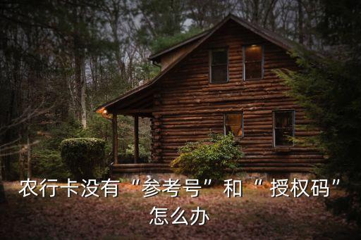 农业银行怎么看授权