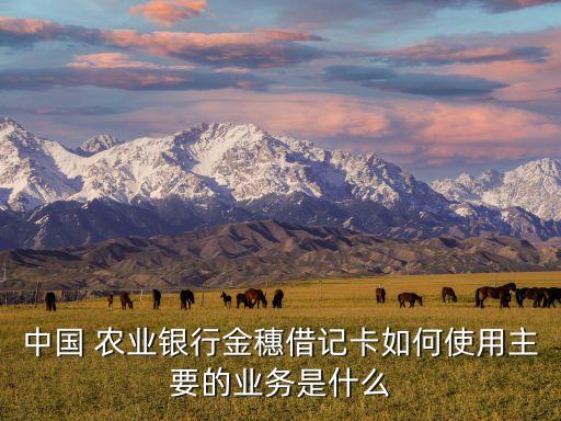 农业银行金惠卡怎么取钱