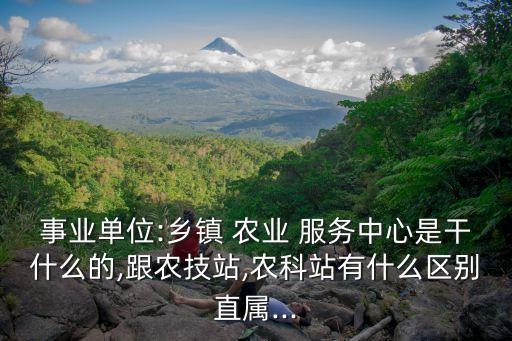 农业科技服务有什么用处,乡镇农业-3/中心是做什么的?