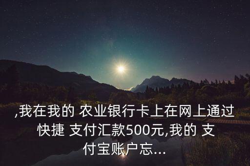 农业银行快捷支付怎么找回,手机农业银行支付密码忘了怎么找回