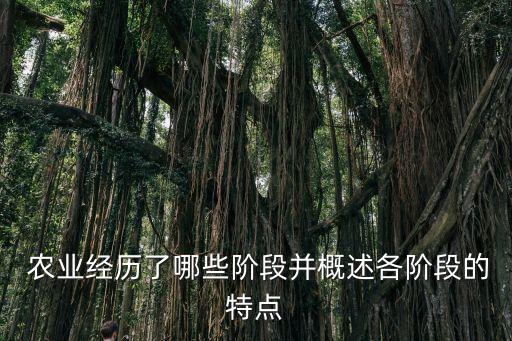 农业时代种植什么,农业种植什么好项目有哪些