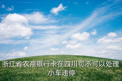 小车撞入农业银行怎么处理