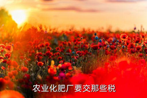 济南农业公司财税怎么收费