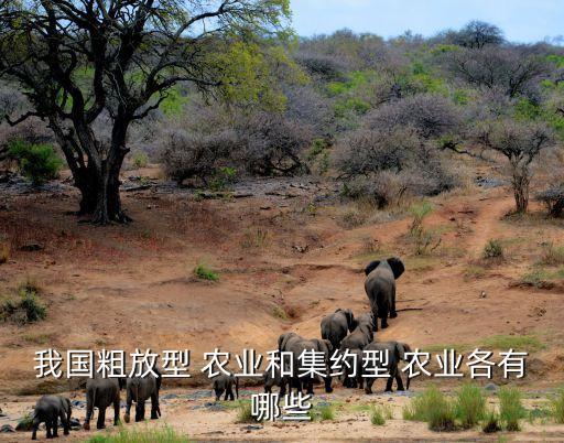 集约化农业怎么定义,农业集约化程度高是什么意思