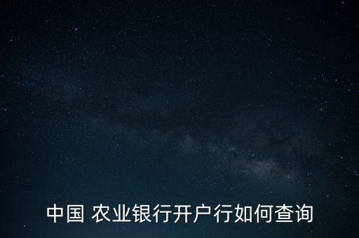 农业银行公司账号怎么查,用农业银行APP怎么查别人账号信息