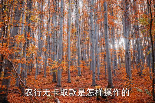 农业银行取点钱怎么取的,去农业银行怎么取钱