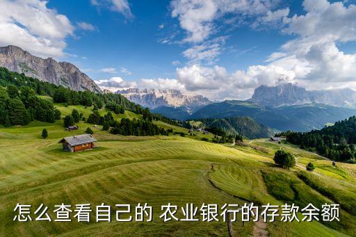 农业银行存钱怎么查询明细