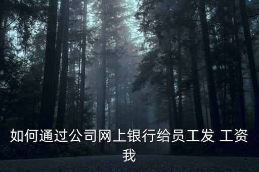 北京农业银行怎么发工资,公司用农业银行发工资