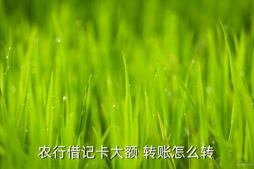 农业网上银行怎么多笔转账
