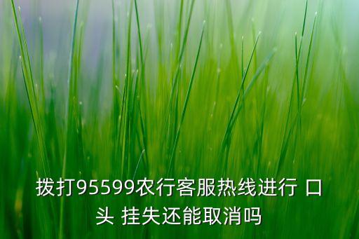 农业银行怎么口头挂失电话