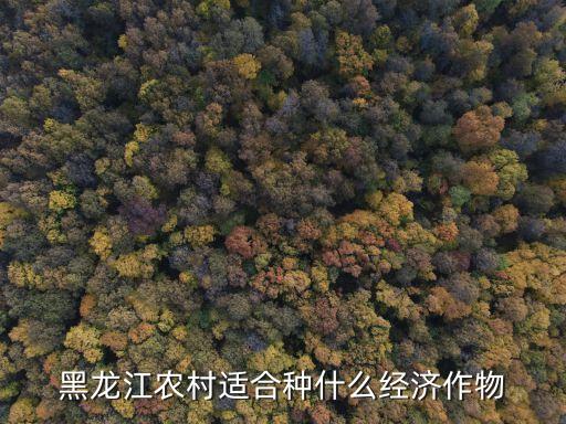 东北种什么农业好挣钱,东北林区适合发展什么农业?