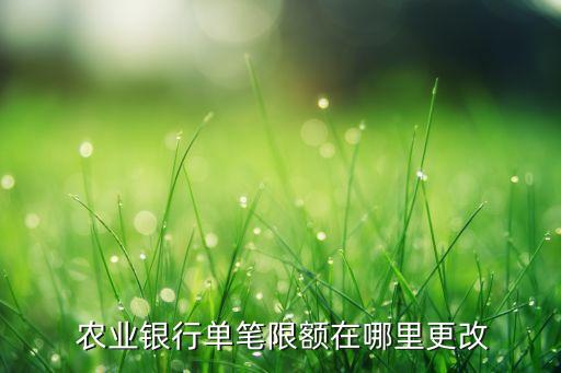 农业银行手机app怎么更额度,手机下载农业银行怎么登录