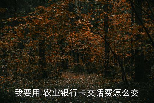 农业银行缴费怎么办
