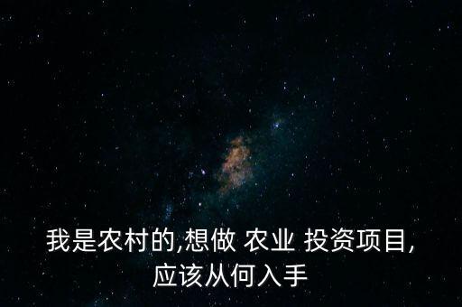 政府投资农业怎么投资公司,政府农业投资公司运作模式