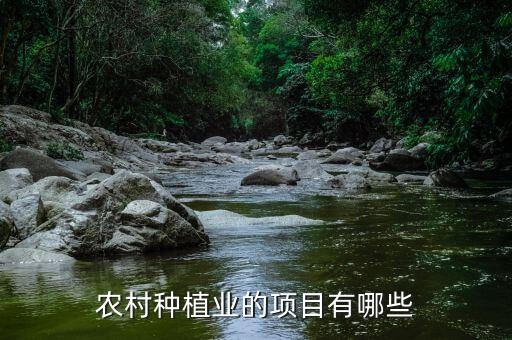 农业种什么呢,现在农业种什么最值钱