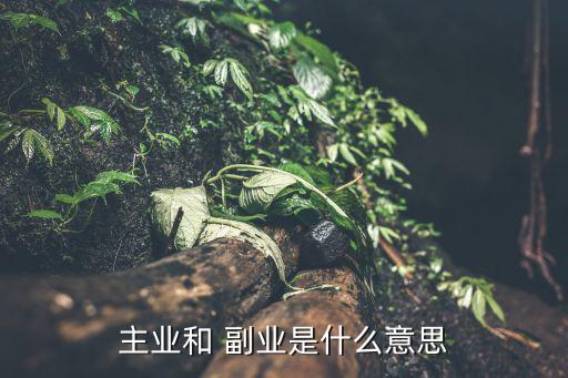 主业和 副业是什么意思