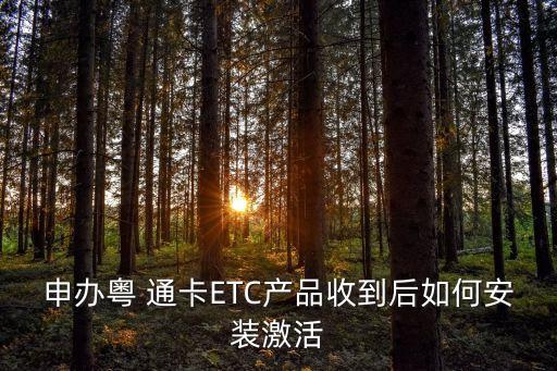 农业粤通卡怎么查不到进度