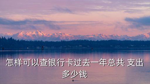 农业网银怎么查支出总数,中国农业网银怎么登录