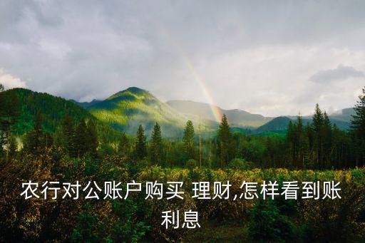 农业银行app怎么查看理财,在手机农业银行app怎么买的理财