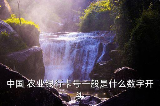 农业银行地区码怎么写