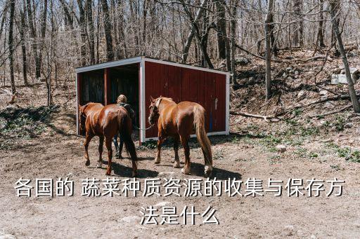 美国农业怎么收获蔬菜