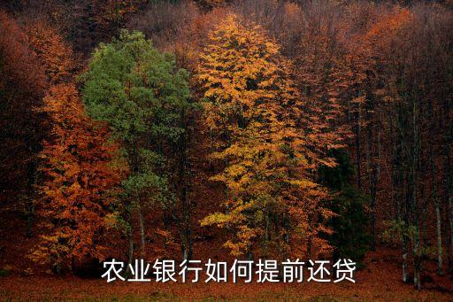 农业银行的货款怎么还款