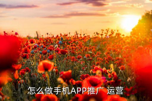 农业app的运营模式怎么写,app运营模式应该怎么写