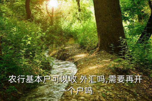 农业银行怎么收取外汇