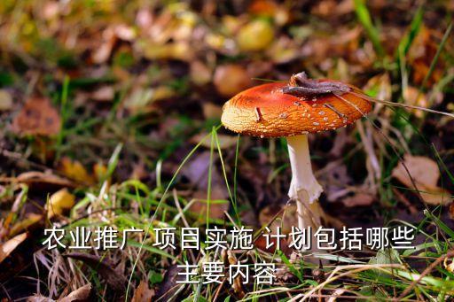 农业项目计划方案怎么写,向农业农村局项目申请怎么写