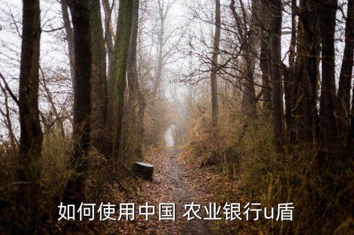 农业银行用u盾怎么查账