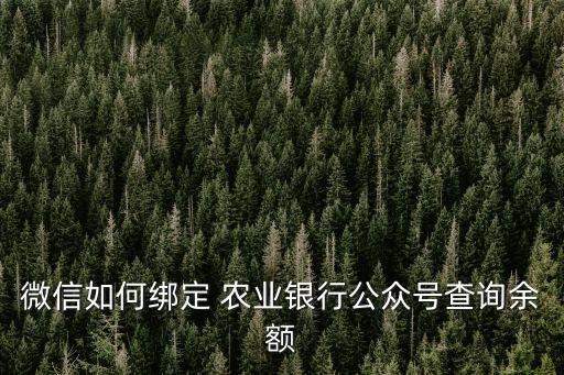 怎么用微信查农业银行,微信查不了农业银行余额