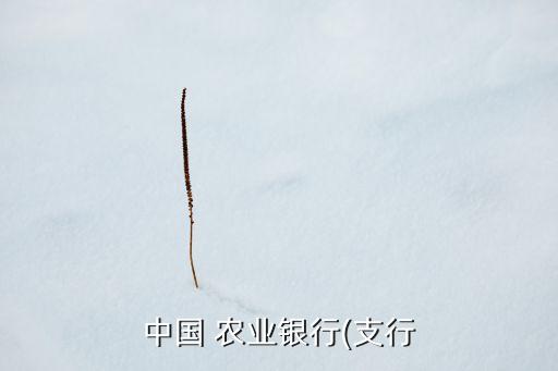 农业银行项目类型怎么分类